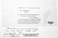 Image Associated With the Occurence